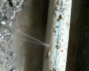 达拉特卫生间测漏水多少钱